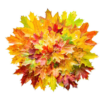 Colorful autumn leaves isolated on white background