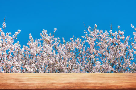 Spring nature background. White flowering branches and wooden table topの写真素材