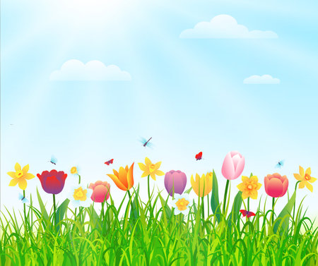 Spring or summer nature background with green grass and flowers. Vector illustrationのイラスト素材