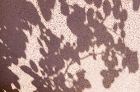 Soft shadows of tree branches and leaves fall across a lightly textured beige wall. Sunlight creates...