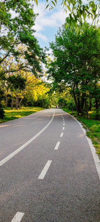 Curved road through green park in sunlight