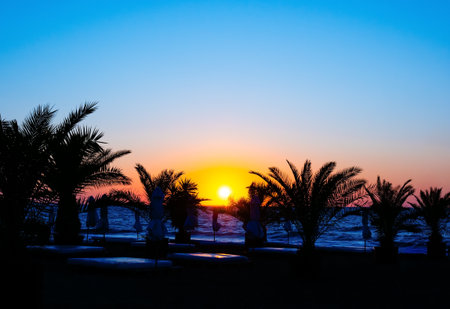 Beautiful landscape at sunrise. Palm trees and beach at the Black sea in Bulgariaの写真素材