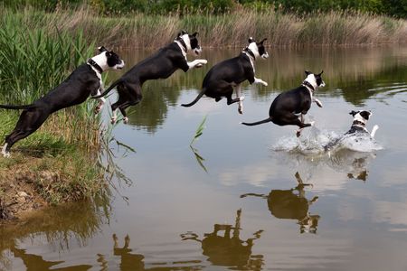 The jumpの写真素材