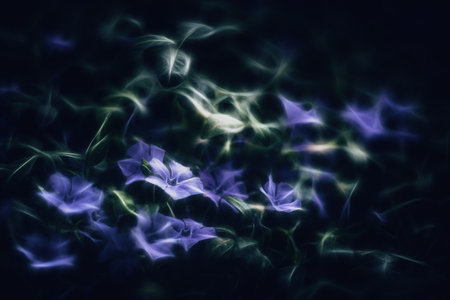 Blue flowers Bigleaf Periwinkle pictorial renderingの写真素材