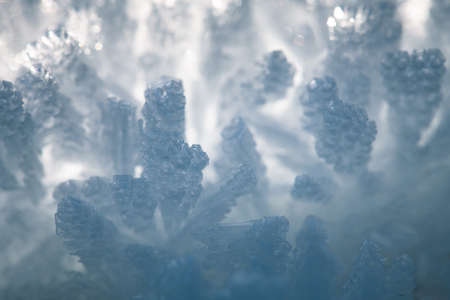 Macro photo of ice crystals under natural light