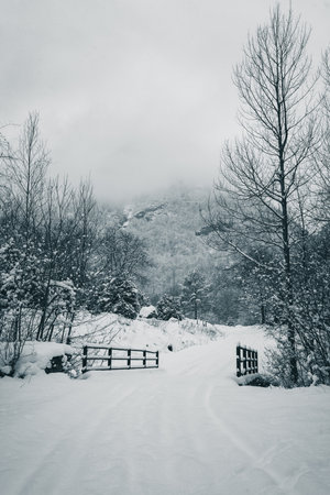 Winter landscape with snow covered trees and little bridge in the forest.の写真素材