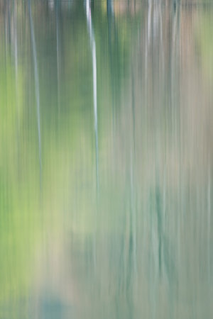 Abstract motion blur effect. Abstract background. Long exposure shot of forest.の写真素材
