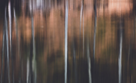 Abstract motion blur effect. Abstract background. Long exposure shot of forest.の写真素材