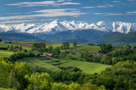 Spring landscape with green meadows and snow-capped mountains. Pyrenees Ariege France