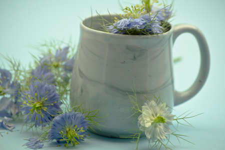 Nigella damascena flower mug