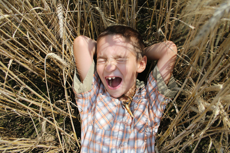 boy lay in a wheat field.の写真素材