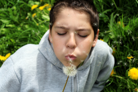 boy in the dandelions.の写真素材