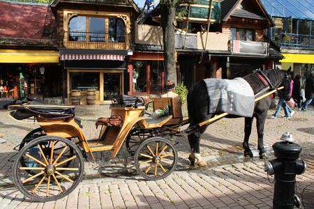 cart with the horseの写真素材
