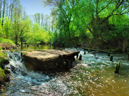 Forest waterfall on the river in summer. Beautiful scenery.の写真素材