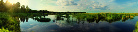 Sunrise on the swamp. Beautiful summer landscape.