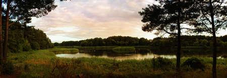Beautiful forest lake in the late evening.の写真素材