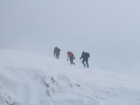 man and the natureの写真素材