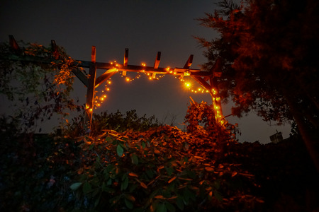 wonderful christmas lights on a rose archの写真素材