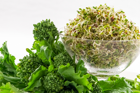 Fresh rapini with rapini sprouts in dish isolated on whiteの写真素材