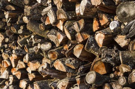 Wood stack of neatly stacked firewood and small wood to dry for firewood, firewood, raw material,...