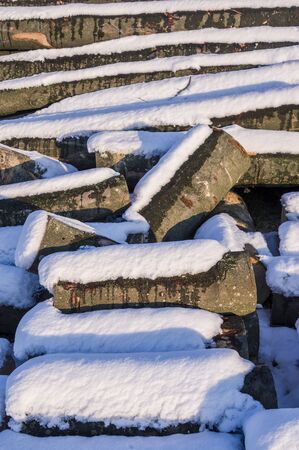 Polter stacked felled tree trunks in winter with snow, bright sunshine for timber industryの写真素材