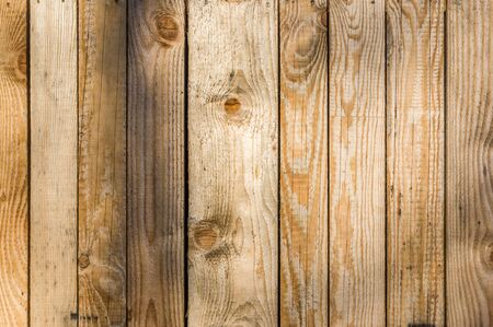 Wooden wall made of different width vertical light wooden boards with natural grain at the upper edge you can see screw headsの写真素材