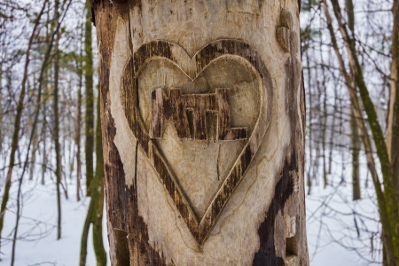 Heart Carved Tree with I Love Montreal message and snow in the backgroundの写真素材