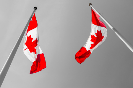 Two Canadian flags waving over grey skyの写真素材