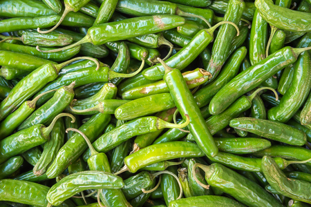 Spicy green hot chili peppersの写真素材