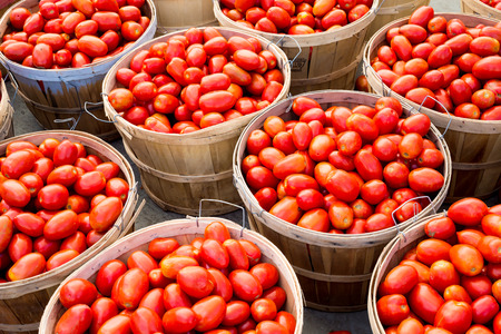Many Roma tomatoes in baskets at the marketの写真素材