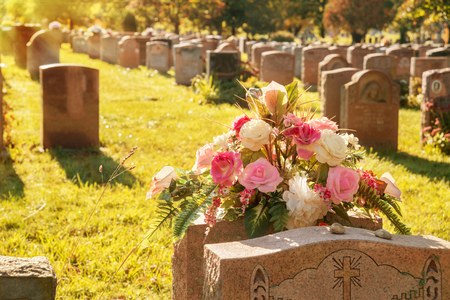 Roses in a cemetery with headstones in the background (faded retro effect)の写真素材