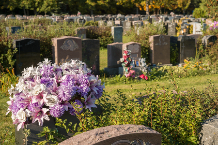 Flowers in a cemetery with headstones in the background at sunsetの写真素材