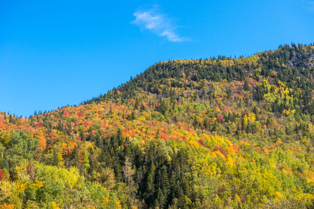 Autumn colors on Chic-Chocs mountains in Gaspesie, Quebec, Canada.の写真素材
