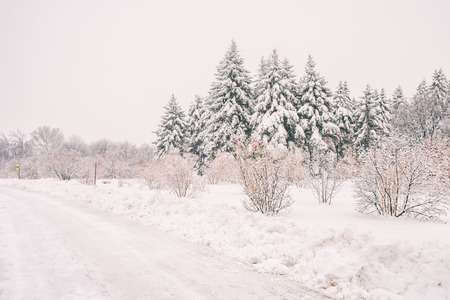 Winter snowy landscape in Montreal, Quebec (Botanical Garden)の写真素材