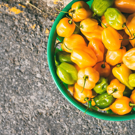 Top view of a bucket full of green and yellow mini bell peppers with vintage effectの写真素材
