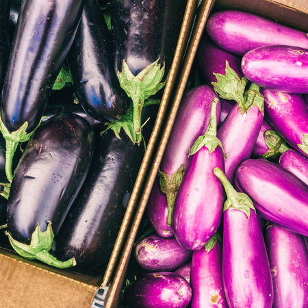 Black and Violet eggplants at the market with vintage effectの写真素材