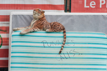 Montreal, CA - 26 May 2019: Discarded mattress with Bed Bugs warning written in french on the street.のeditorial素材