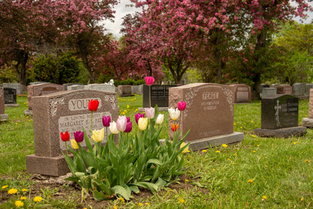 Montreal, CA - 30 May 2019: Headstones in Montreal cemetery in the Springtimeのeditorial素材