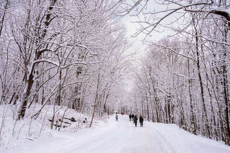 Montreal, CA - 01 January 2020: People walking on a snowy trail in Montreal's Mount Royal Park (Parc Du Mont-Royal) after snow storm.のeditorial素材
