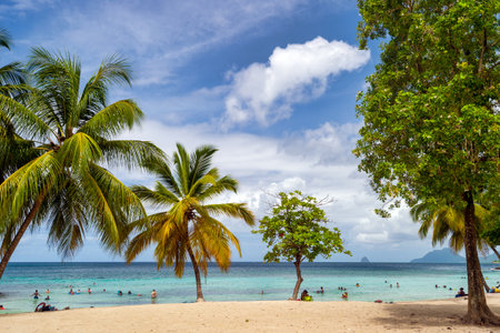 Anse Figuier, Martinique, France - 14 August 2019: Anse Figuier Tropical Beach in Martiniqueのeditorial素材