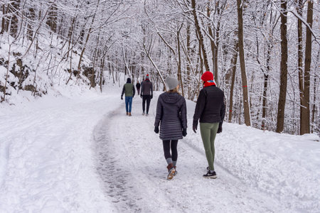 Montreal, CA - 01 January 2020: People walking on a snowy trail in Montreal's Mount Royal Park (Parc Du Mont-Royal) after snow storm.のeditorial素材