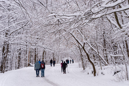 Montreal, CA - 01 January 2020: People walking on a snowy trail in Montreal's Mount Royal Park (Parc Du Mont-Royal) after snow storm.のeditorial素材