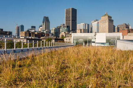 Montreal, CA - 21 September 2019: Montreal Skyline from The Grand Quay in the Old Portのeditorial素材