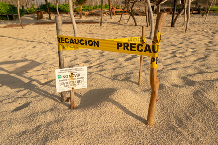 Tulum, Mexico - 7 August 2018: a marine tortoise nest has been protected with a tape barrier.のeditorial素材