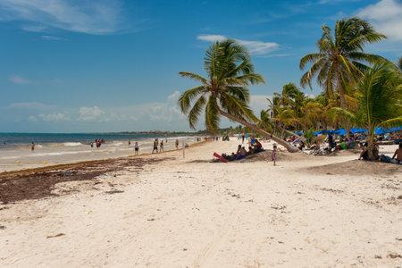Tulum, Mexico - 12 August 2018: View of Playa Paraiso beach near Tulum.のeditorial素材