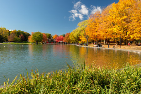 Montreal, Canada - 14 October 2018: Beaver lake at the top of Mont-Royal, as foliage bursts with autumn colors.のeditorial素材