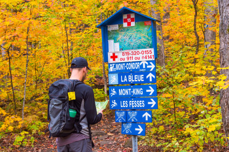 Young man looking at a map on a hiking trail in a canadian forest during autumn colours (Val David Regional Park, Laurentides, Canada)のeditorial素材
