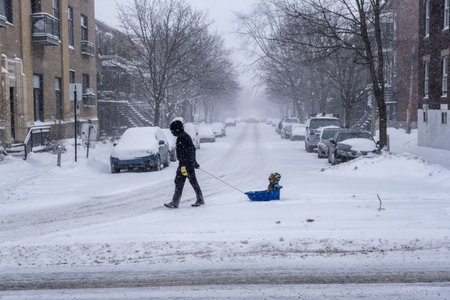 Montreal, CA - 2 February 2021: Dad pulling kid on a sledge during snowfallのeditorial素材