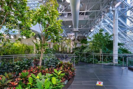 Calgary, Alberta, Canada - 27 September 2021: Devonian Gardens inside The Core Shopping Centre in downtown Calgaryのeditorial素材