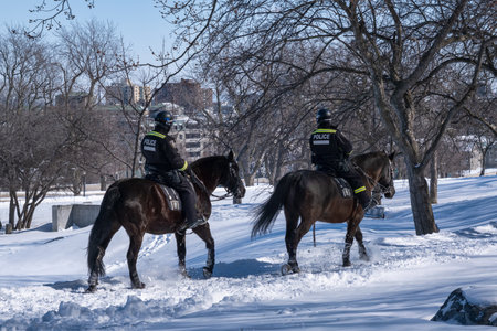 Montreal, CA - 26 February 2022: RCMP Mounted police officers patroling on Mount-Royal